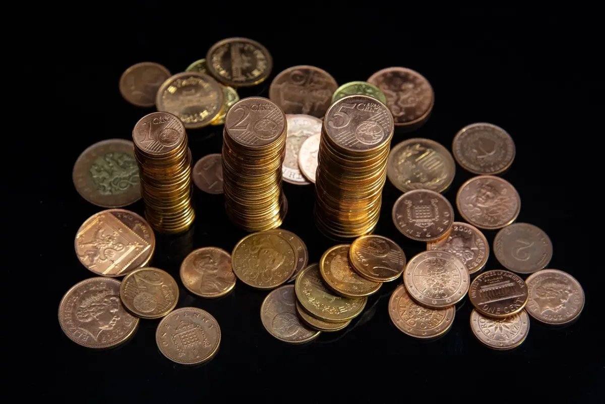 Immagine selezionata